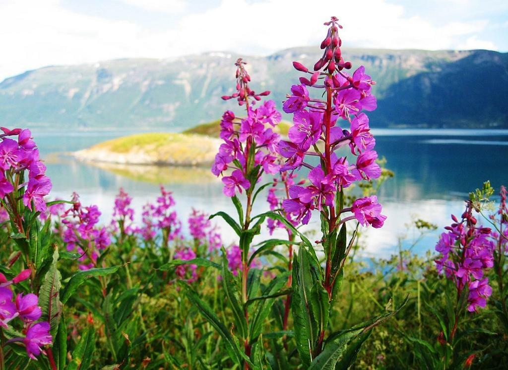 Kirkenes Hotell Екстер'єр фото